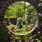 Secret garden
