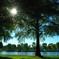夏の公園３