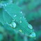 雨あがり
