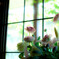 DSC09359