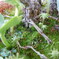 DSCN0078