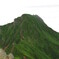 新緑の阿弥陀岳