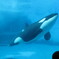名古屋港水族館