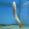 名古屋港水族館