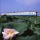 地元の鉄道風景「のんびりと」