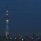 Blue Light Tokyo