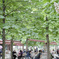 Café sous l'arbre