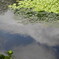DSCN0740