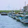 DPP_0016