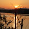 萌える夕日