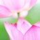 爽やかな朝