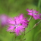 photo_1983580