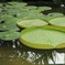 photo_1983582