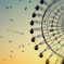 Sky High