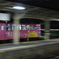 IMGP6772