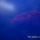 The surface and depth