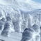 snowscape