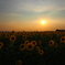 日曜の夕暮れ