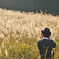 pampas grass