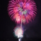 伊方まつり花火大会です