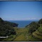 Enjoy Summer!?