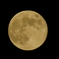 full moon