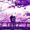 桜色の恋