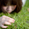 grassy.