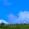 雲