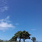 安息地