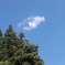 魚雲