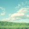 夏の空
