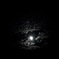 MoonLight