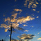 夏空