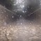 Raindrops.