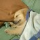 Zzz...