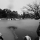 冬の兼六園