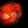 P8050504