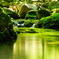 緑水