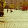 月光