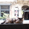 イスタンブール cat1