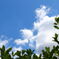 8月の青い空