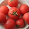Tomato