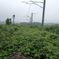 広野町線路