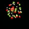 DSCF0327