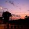 Early morning