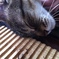 ひるね