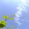 夏の空