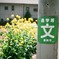 通学路で