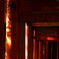 DSC03353_DxO